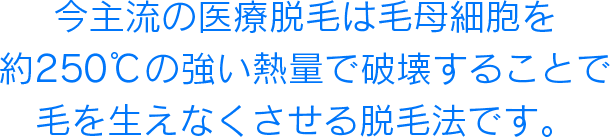 今主流の医療脱毛は毛母細胞を約250度℃の強い熱量で破壊することで毛を生えなくさせる脱毛法です。